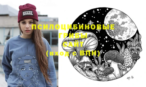 твердый Володарск