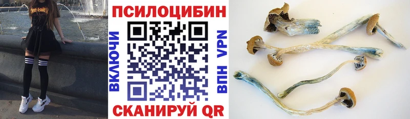 omg ТОР  Дербент  Галлюциногенные грибы GOLDEN TEACHER 